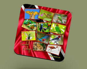 Corkback Coaster (Architechture) Trinidad & Tobago Birds