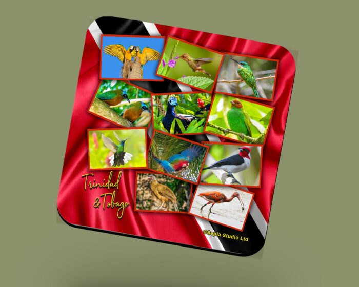 Corkback Coaster (Architechture) Trinidad & Tobago Birds