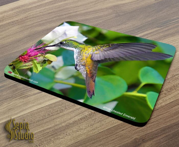 Mousepad ( Hummingbird ) White Chested Emerald