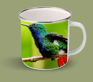 Enamel Mugs 17oz ( Hummingbird ) Black Throated Mango Male