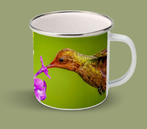 Enamel Mugs 17oz ( Hummingbird ) Tufted Coquette Female 2