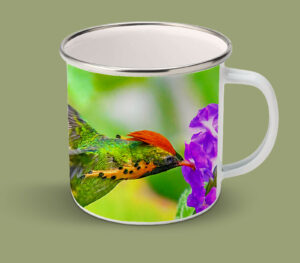 Enamel Mugs 17oz ( Hummingbird ) Tufted Coquette Male
