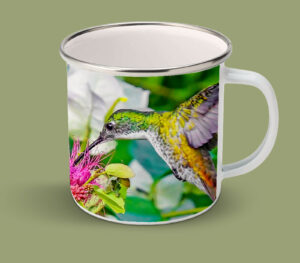 Enamel Mugs 17oz ( Hummingbird ) White Chested Emerald
