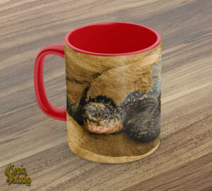 Ceramic Mug 11oz ( Grand Riviere ) Leatherback Turtle 2