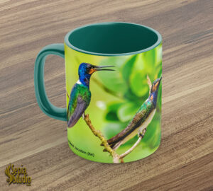 Ceramic Mug 11oz ( Hummingbird ) White Necked Jacobin (M)