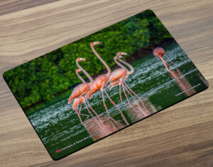 Placemat (Bird) Flamingos in the Caroni Bird Sanctuary