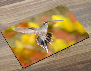 Placemat (Hummingbird) Green Hermit