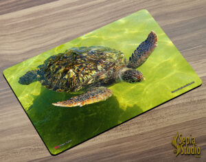 Placemat (Turtle) Green Turtle