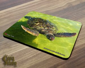 Mousepad ( Turtle ) Green Turtle
