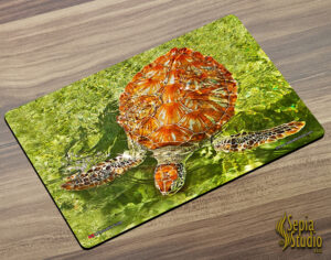 Placemat (Turtle) Hawksbill Turtle