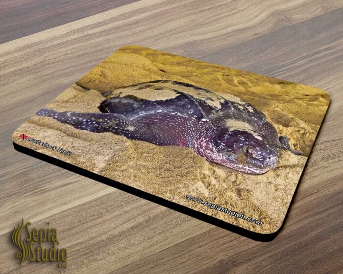 Mousepad ( Turtle ) Leatherback Turtle 2