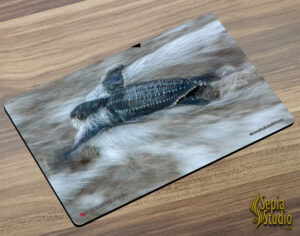 Placemat (Turtle) Leatherback Turtle Hatchling