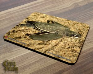 Mousepad ( Turtle ) Leatherback Turtle Hatchling 2