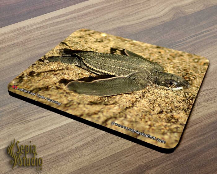 Mousepad ( Turtle ) Leatherback Turtle Hatchling 2