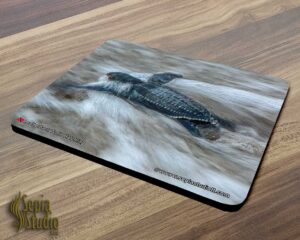 Mousepad ( Turtle ) Leatherback Turtle Hatchling