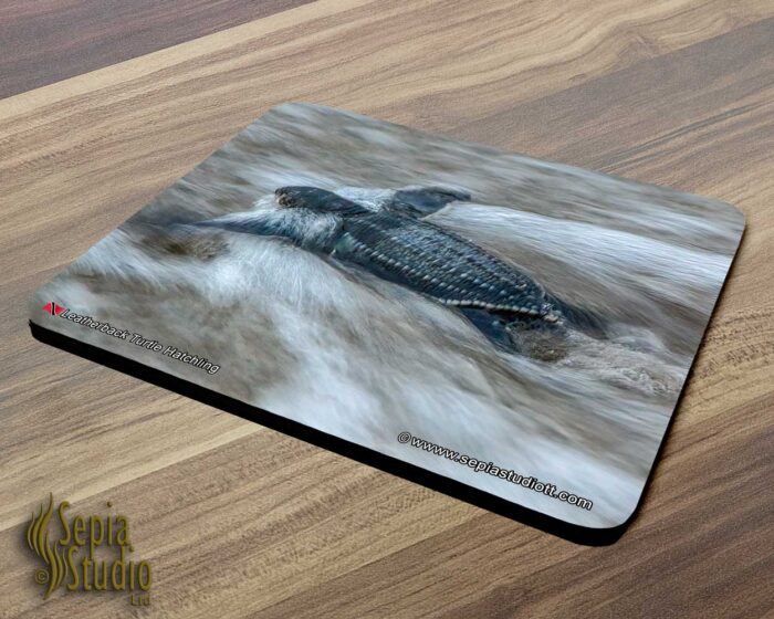 Mousepad ( Turtle ) Leatherback Turtle Hatchling