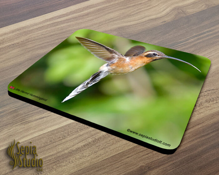 Mousepad ( Hummingbird ) Little Hermit
