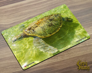 Placemat (Turtle) Green Turtle 2