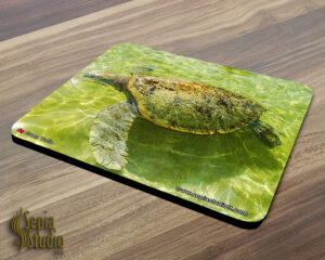 Mousepad ( Turtle ) Green Turtle 2