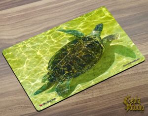 Placemat (Turtle  Green Turtle 3