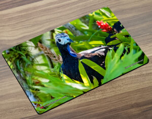 Placemat (Bird) Trinidad Piping-Guan ( PAWI )