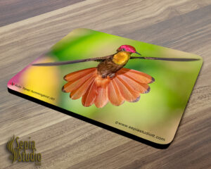 Mousepad ( Hummingbird ) Ruby Topaz (M)