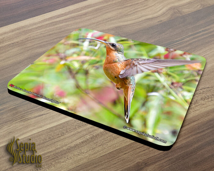 Mousepad ( Hummingbird ) Rufous Breasted Hermit
