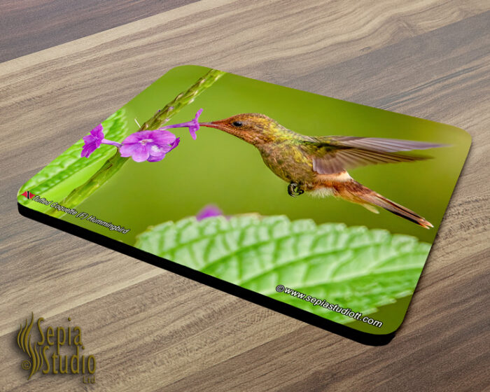 Mousepad ( Hummingbird ) Tufted Coquette (F)