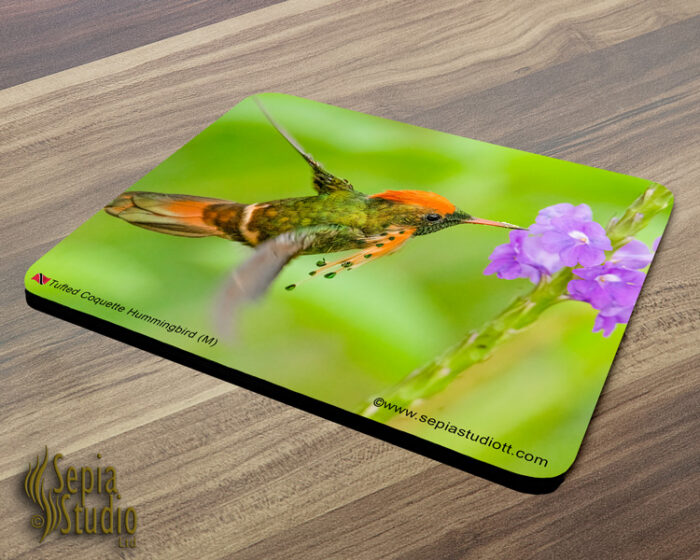 Mousepad ( Hummingbird ) Tufted Coquette (M)