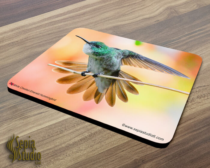 Mousepad ( Hummingbird ) White Chested Emerald