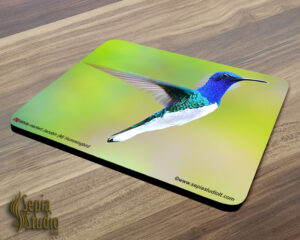 Mousepad ( Hummingbird ) White-necked Jacobin (M)