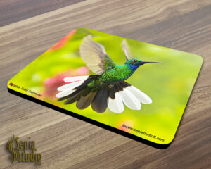 Mousepad ( Hummingbird ) White-tailed Sabrewing