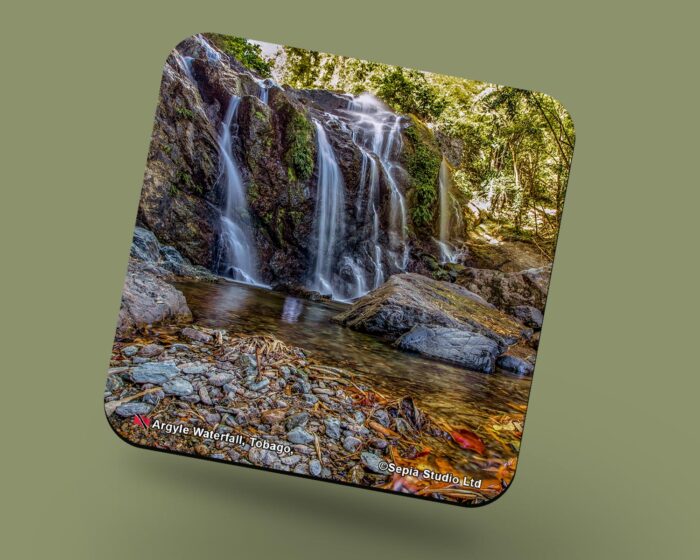 Corkback Coaster (Waterfall) Argyle Tobago