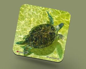 Corkback Coaster (Turtle) Green Turtle