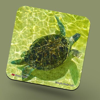 Corkback Coaster (Turtle) Green Turtle