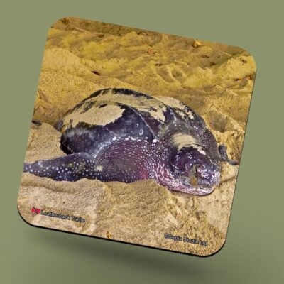 Corkback Coaster (Turtle) Leatherback Turtle