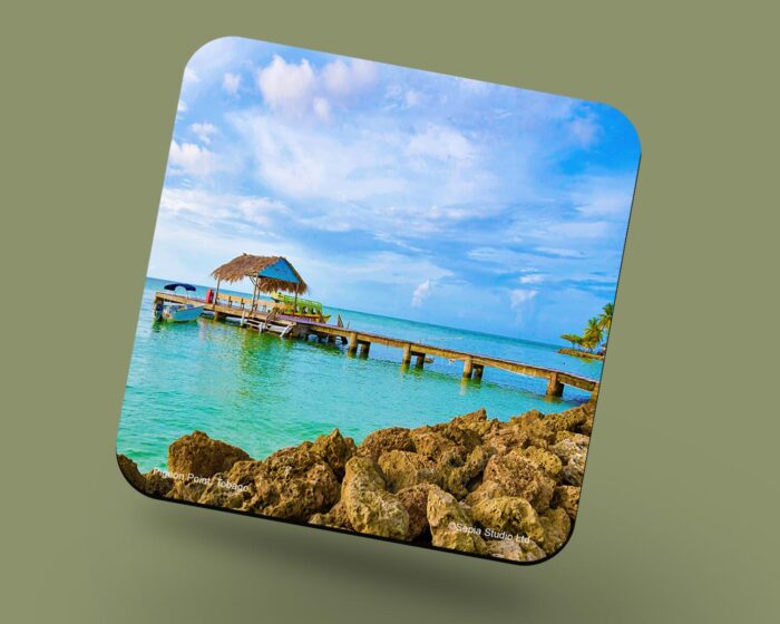 Corkback Coaster (Tobago) Pigeon Point