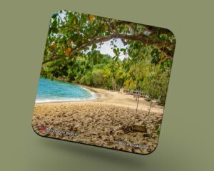 Corkback Coaster (Tobago) Arnos Vale