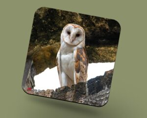 Corkback Coaster (Birds) Barn Owl