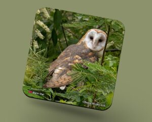 Corkback Coaster (Birds) Barn Owl