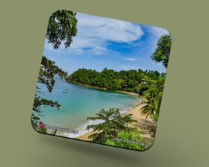 Corkback Coaster (Tobago) Bloody Bay