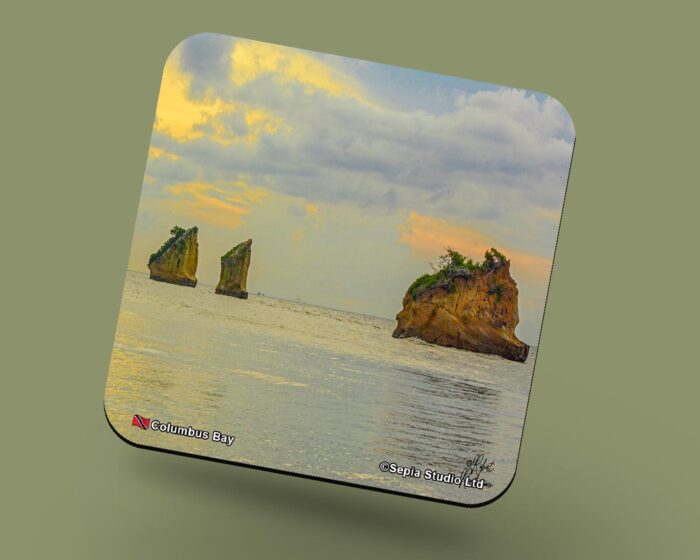 Corkback Coaster (Seascape) Columbus Bay