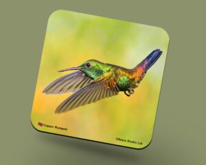 Corkback Coaster (Hummingbird) Copper Rumped