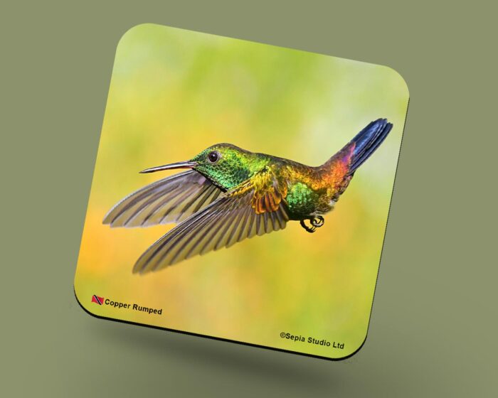 Corkback Coaster (Hummingbird) Copper Rumped