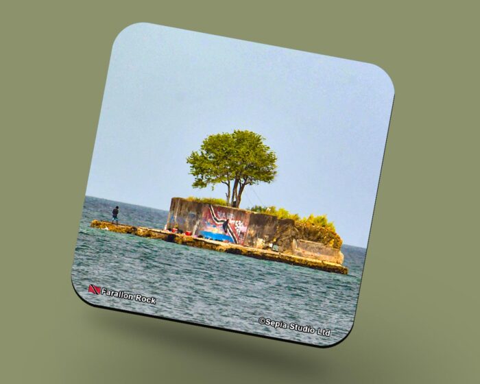 Corkback Coaster (Seascape) Farallon Rock