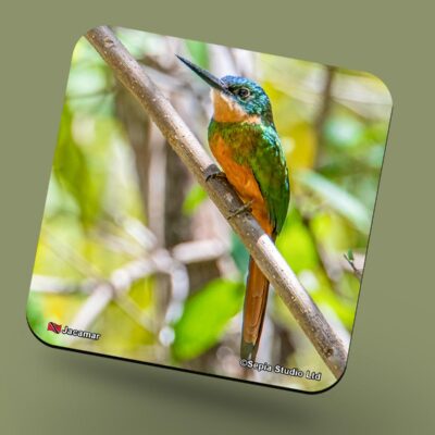 Corkback Coaster (Birds) Jacamar