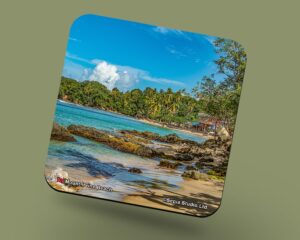 Corkback Coaster (Tobago) Mount Irvine Beach
