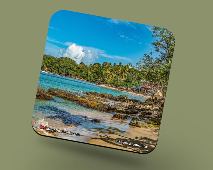 Corkback Coaster (Tobago) Mount Irvine Beach