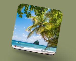 Corkback Coaster (Seascape) Paria Beach