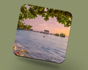 Corkback Coaster (Tobago) Pigeon Point